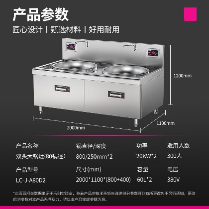 商用電磁爐,電炒爐,雙頭小炒灶,樂(lè)創(chuàng)電器